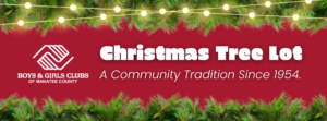 BGCMC Tree Lot